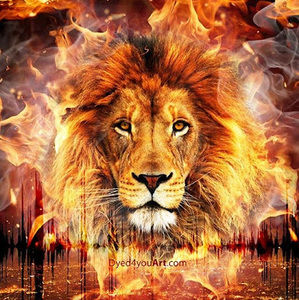 Meet your Posher, Carlos